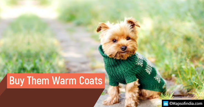 Buy Pets Warm Coats