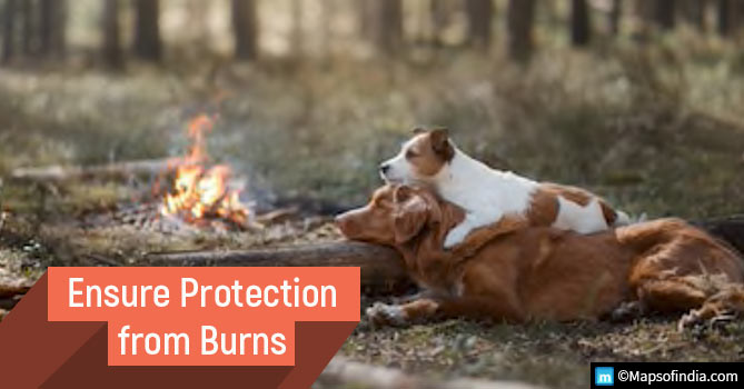 Ensure Pet Protection from Burns