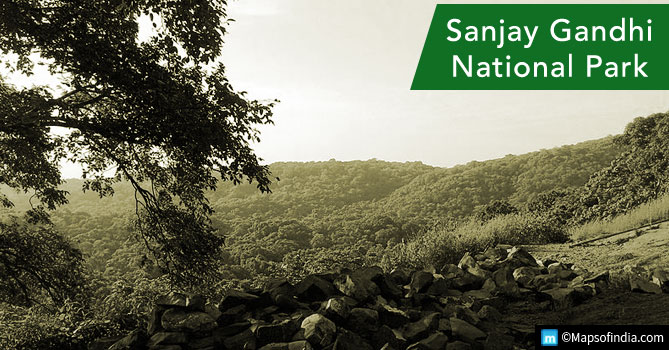 Sanjay Gandhi National Park