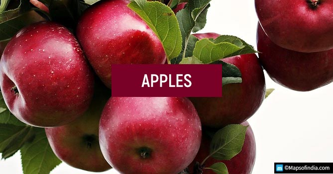  Surprising Facts about Food - Apples