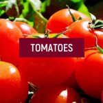 Surprising Facts about Food – Tomatoes