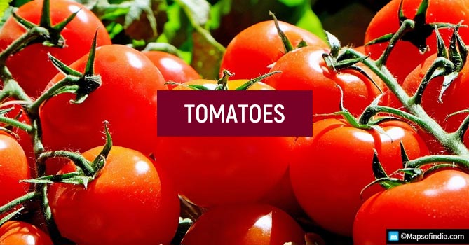 Surprising Facts about Food - Tomatoes