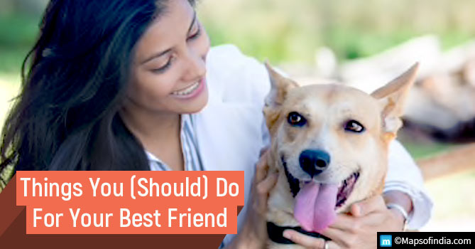 Things You Should Do for Your Best Friend