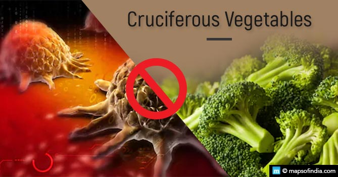 Cruciferous vegetables prevents cancer