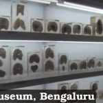 Brain Museum