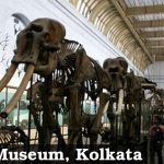 Indian Museum