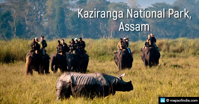 Kaziranga National Park, Assam