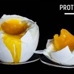 Protein