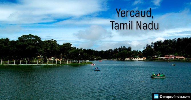 Yercaud, Tamil Nadu
