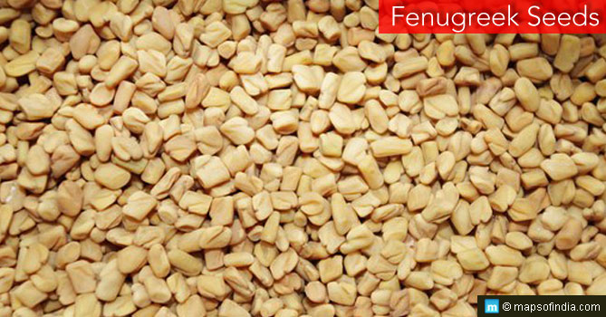 Methi or Fenugreek Seeds