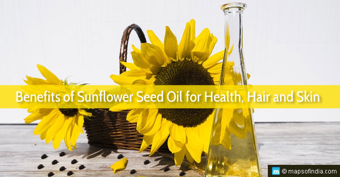 of Sunflower Seed Oil Health, and Skin - India