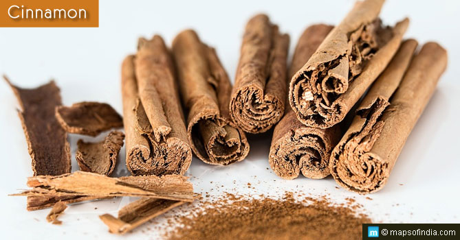 Cinnamon Cinnamon