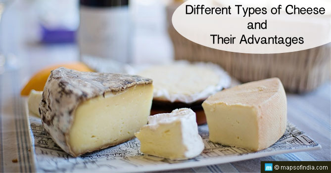 Different Types of Cheese and Their Advantages