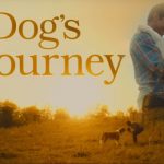 A Dog’s Journey