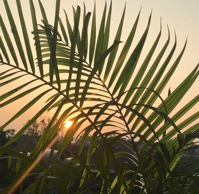 Sunrise in Delhi