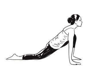 Ashwa Sanchalanasana