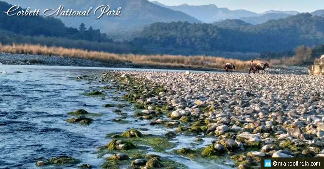 Corbett National Park, Uttarakhand