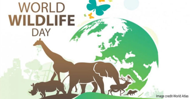 World Wildlife Day - An Initiative to Arrest The Destruction of Flora And Fauna