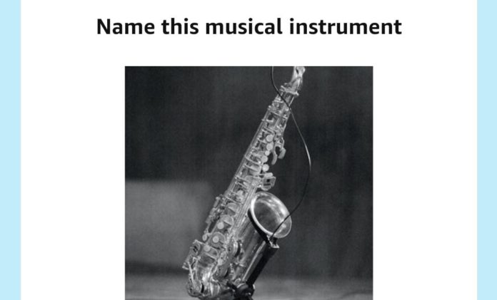 Name this musical instrument