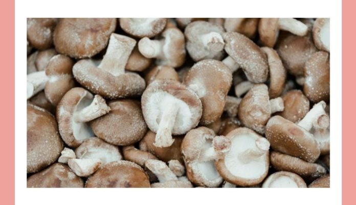 Identify this variety of mushroom