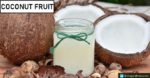Know About Coconut Fruit and its Benefits