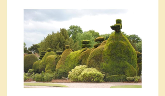 What is this centuries old art of clipping hedges into various ornamental shapes traditionally called?