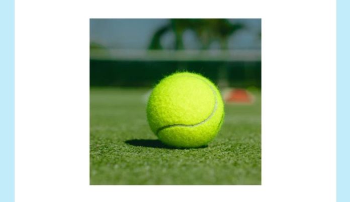 Which sport uses this type of ball