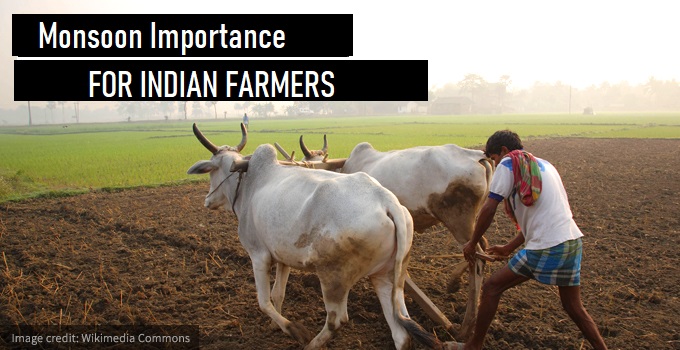 what is the importance of agriculture in indian economy