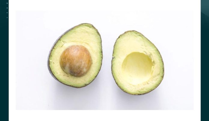 identify the fruit pear green apple melon avocado