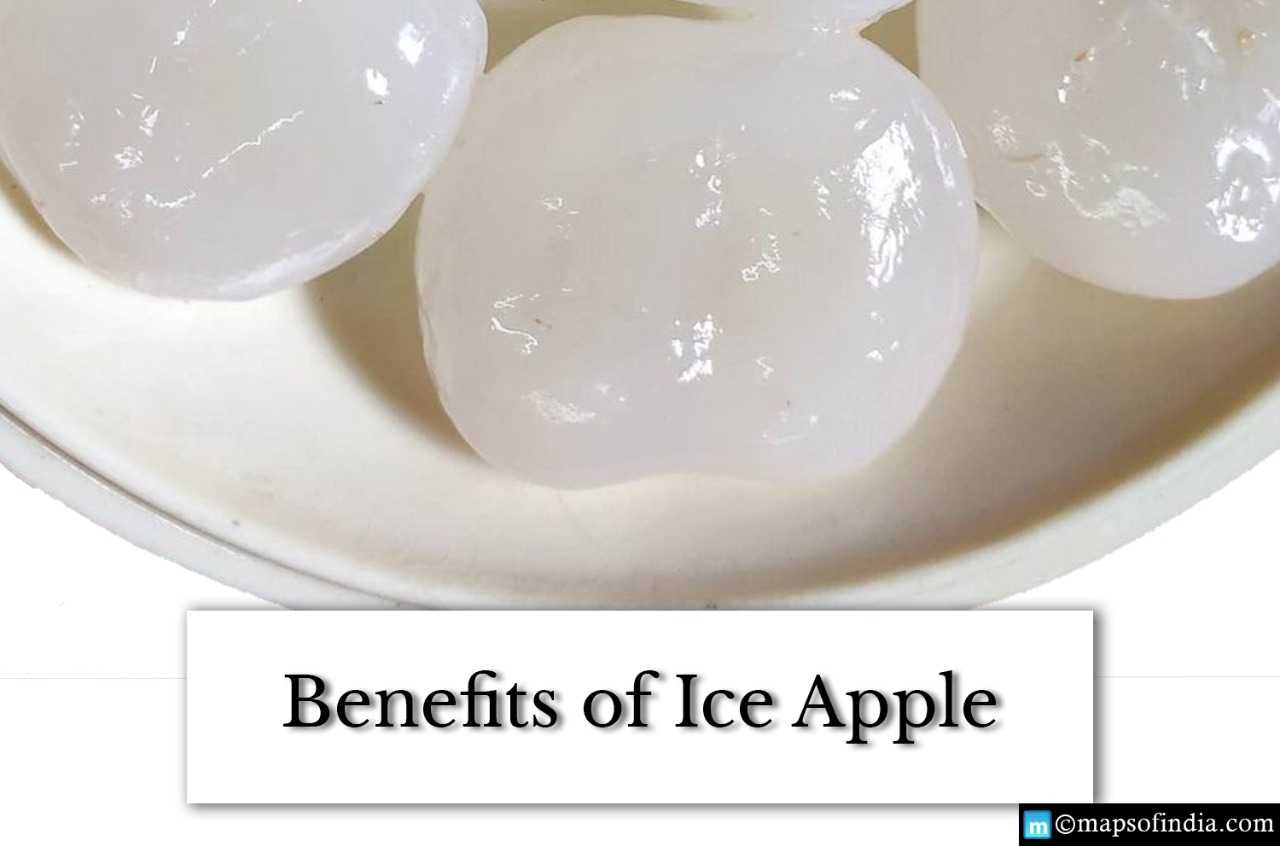 What are the benefits of the Ice Apple? - India
