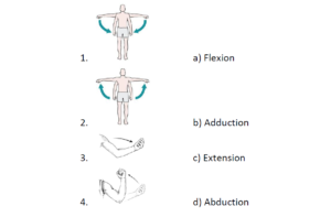 Match the movements