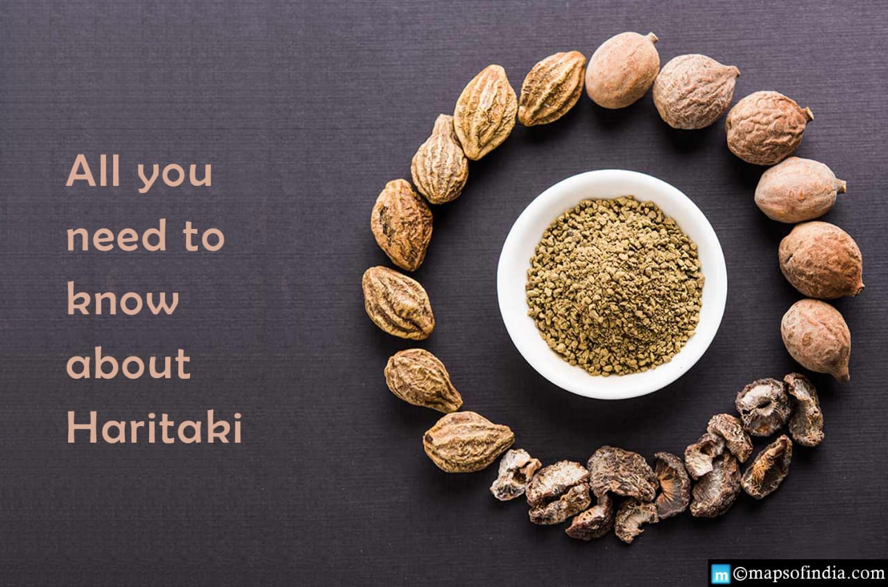 What are the benefits of Ayurvedic Haritaki? - Food What are the benefits of Ayurvedic Haritaki? - Food