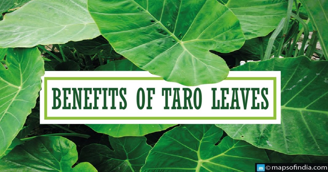 What are the benefits of Taro Leaves? Health