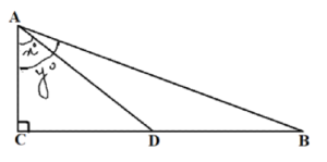 In the given figure, D is the mid-point of BC, then the value of cot y cot x is