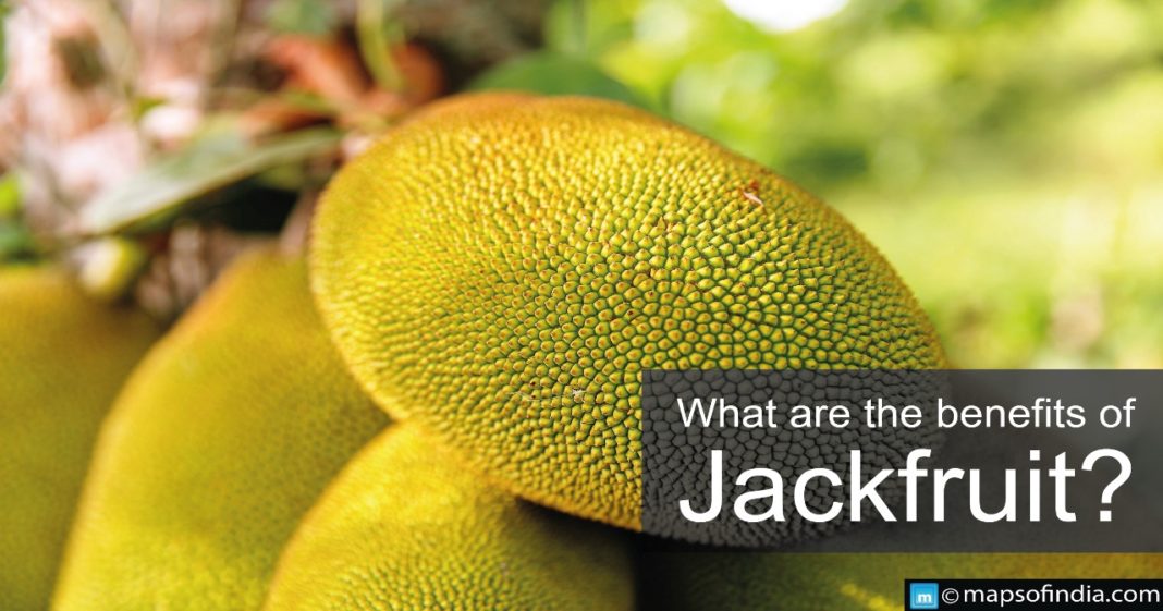 What are the benefits of Jackfruit? Food