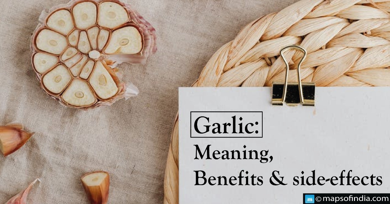 Garlic Meaning, Benefits and SideEffects Education Blogs