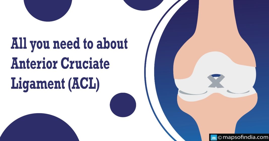 All you need to know about Anterior Cruciate Ligament (ACL) surgery