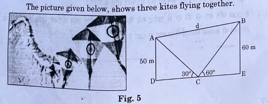 question 13 maths case study 1 kite flying