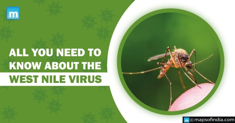 What is West Nile Virus?