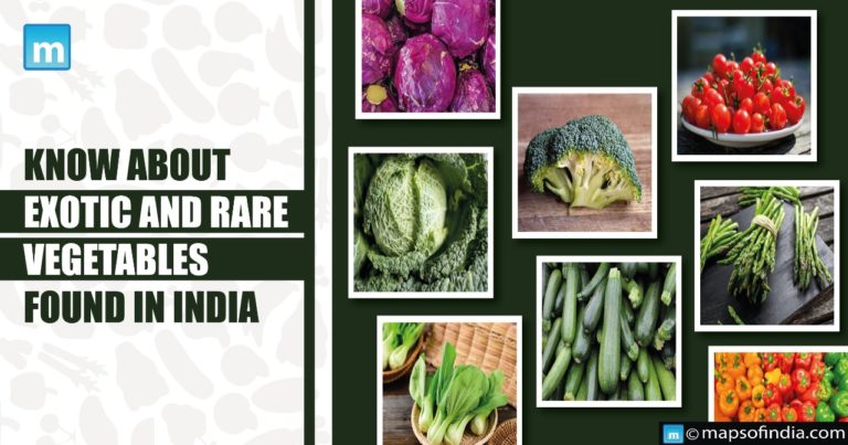 Know about the Exotic And Rare Vegetables found In India