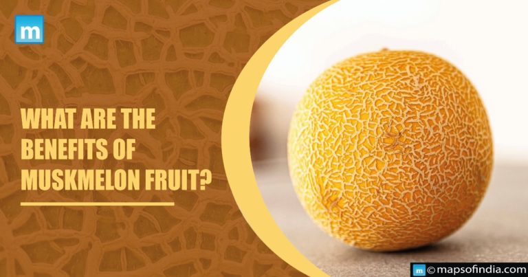 What are the health benefits of Muskmelon Fruit?