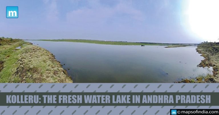 Kolleru: The Fresh Water Lake in Andhra Pradesh