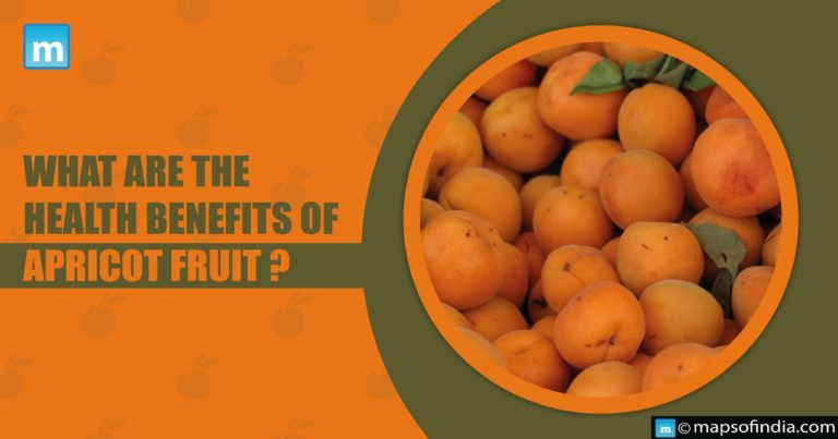 What are the health benefits of Apricot Fruit?