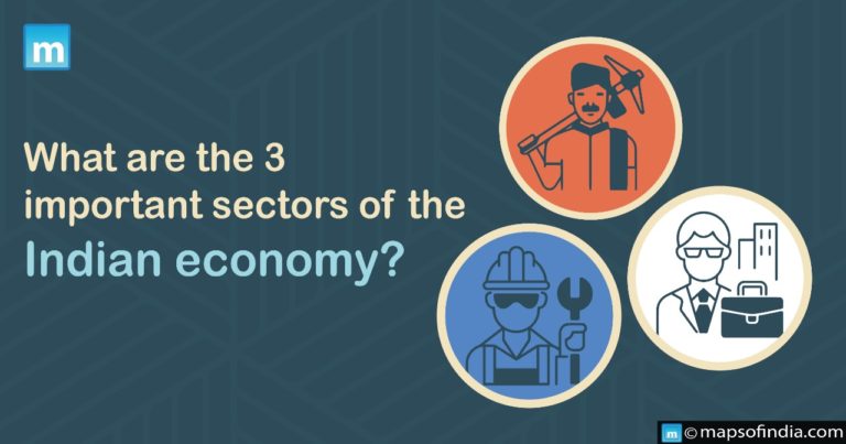 What are the 3 important Sectors of the Indian economy?