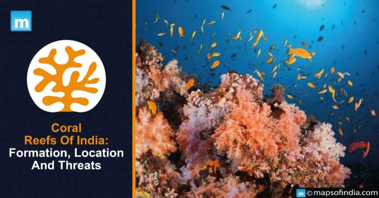 Coral Reefs Of India: Formation, Location And Threats