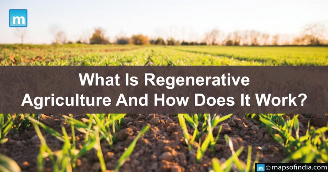 What Is Regenerative Agriculture And How Does It Work? Agriculture