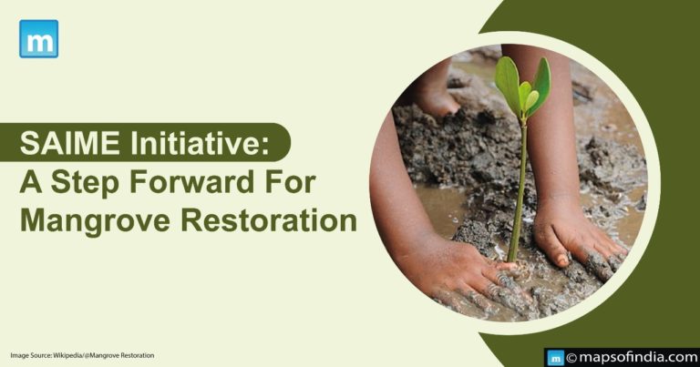 Know About The SAIME Initiative: A Step Forward For Mangrove Restoration