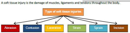 Explain any two types of soft tissue injuries with help of examples. -  Education Blogs