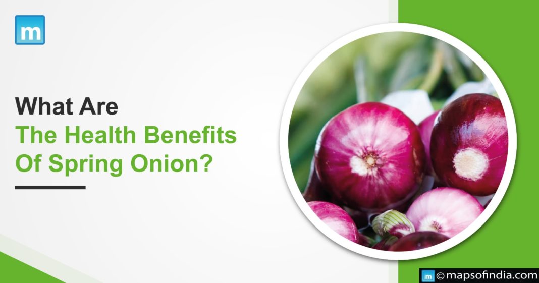 What Are The Health Benefits Of Spring Onion? Benefits