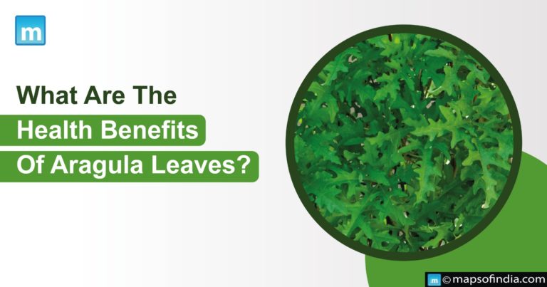 What Are The Health Benefits Of Arugula Leaves? What Are The Health Benefits Of Arugula Leaves?